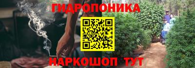 прущие грибы Ипатово