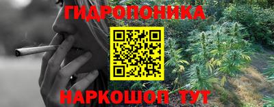 прущие грибы Ипатово