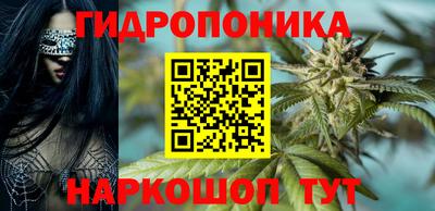 прущие грибы Ипатово