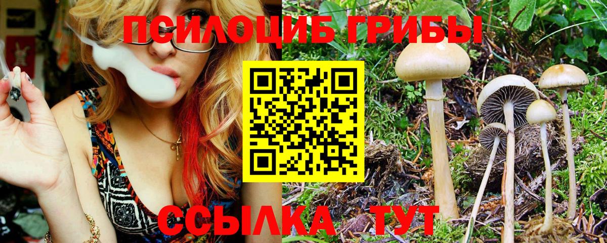 Евпатория  Галлюциногенные грибы Magic Shrooms  где продают   Вход с VPN 
